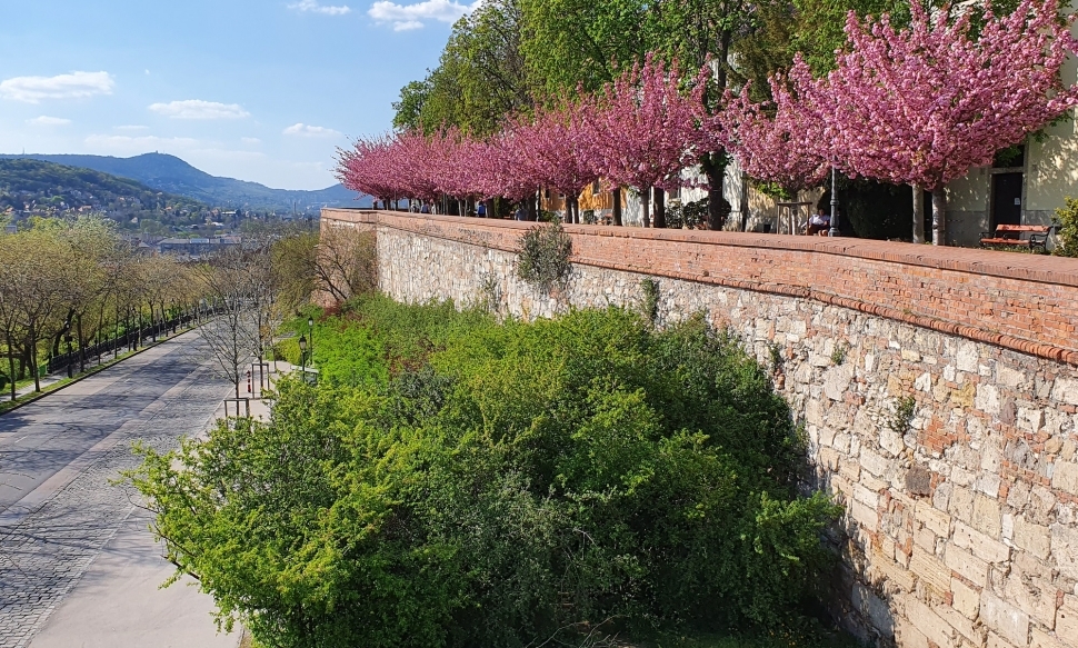 A Tóth Árpád sétányon annyi nevezetesség akad, hogy felér egy klasszikus városi sétával.