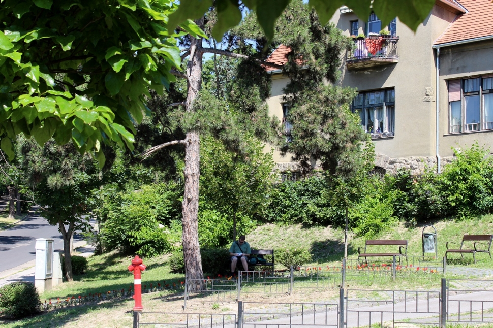 A Marczibányi térnél, a Felvinci út-Aranka utca-Ribáry utca kereszteződésében található ez a pici "tér", paddal. Ha csendes szemlélődésre vágytok, itt nyugodtan pihenhettek.
