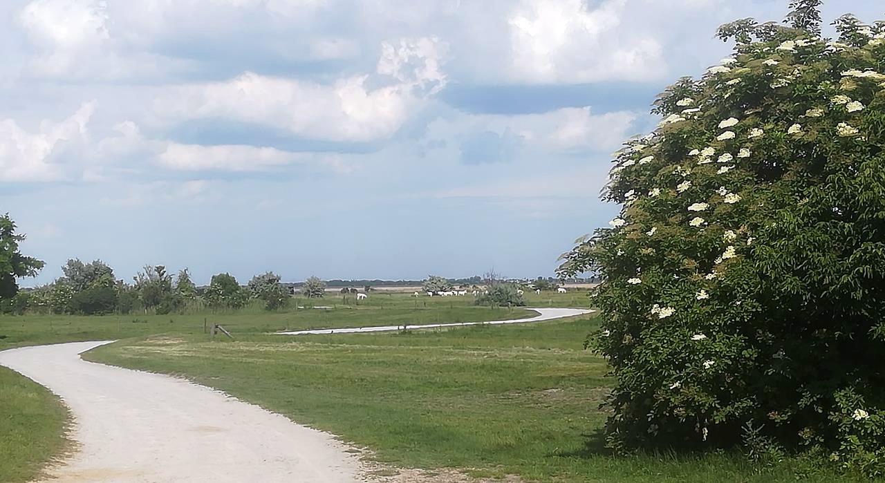 Őrtorony randi