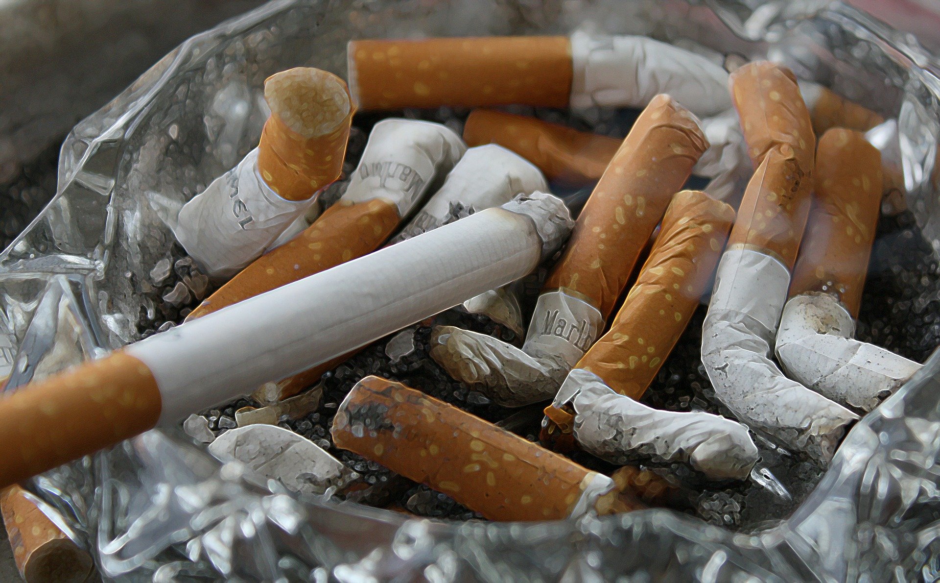 Tobacco - Szingapúr nyitott az új-zélandihoz hasonló dohányzásellenes törvények bevezetésére