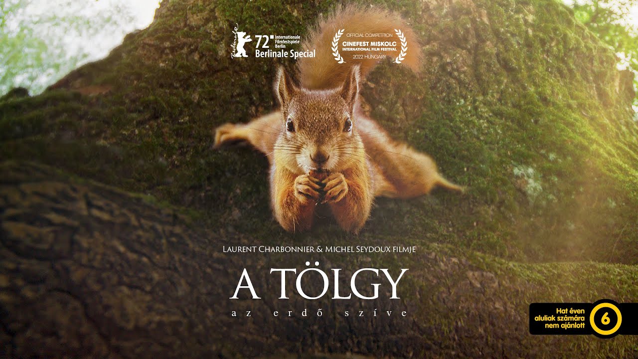 hogyan segítheted szíved egészségét