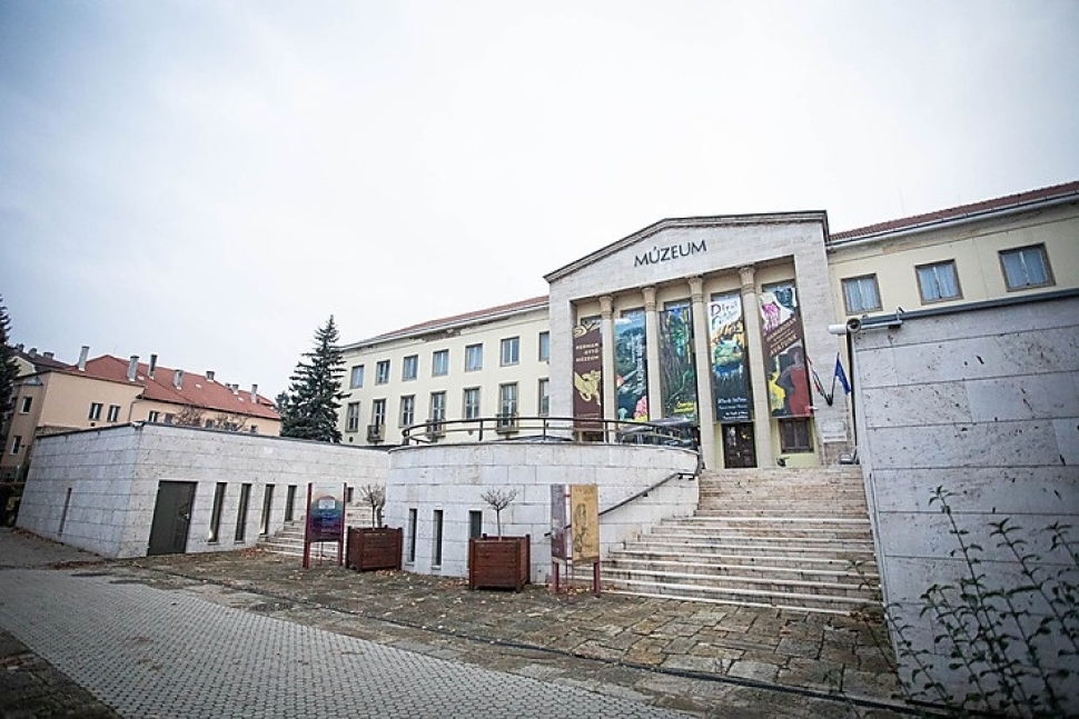 A miskolci Herman Ottó Múzeum is ingyenesen látogatható márc. 15-én