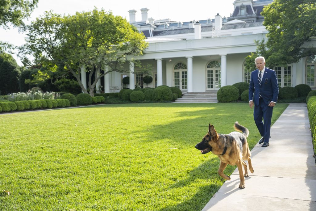 Joe Biden kutyája legalább 24 alkalommal megharapta a titkosszolgálat ügynökeit