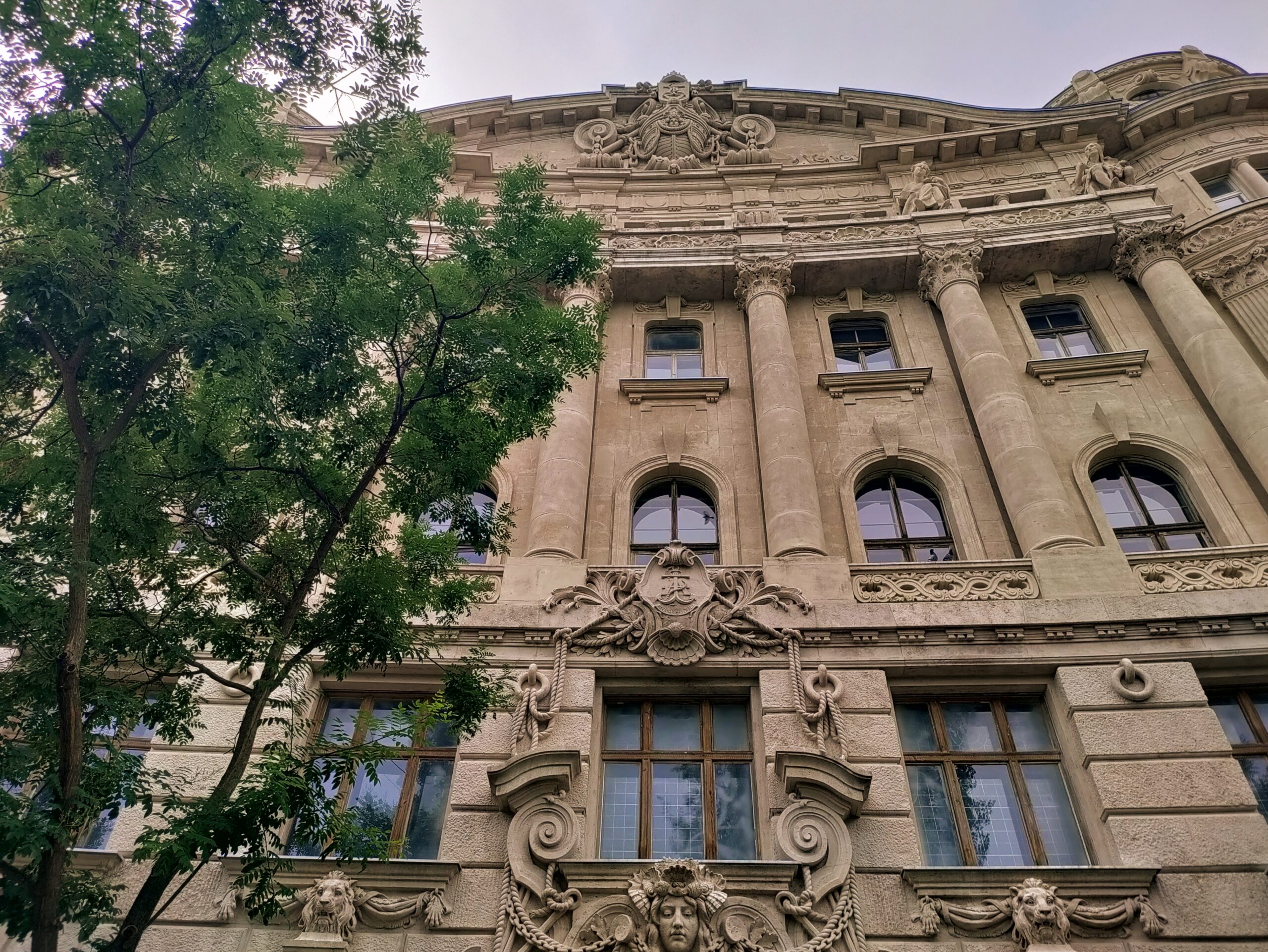 main-image