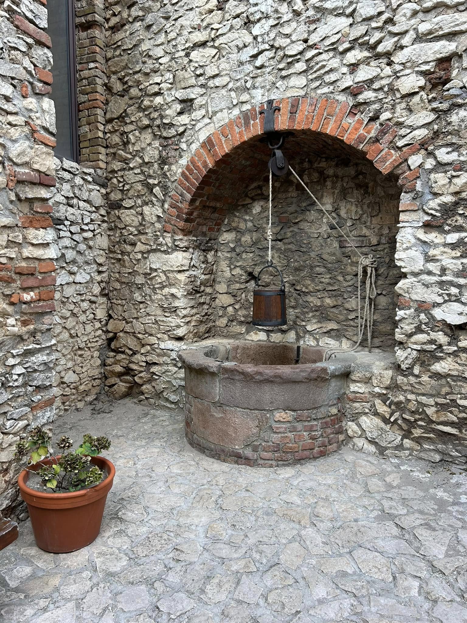 main-image