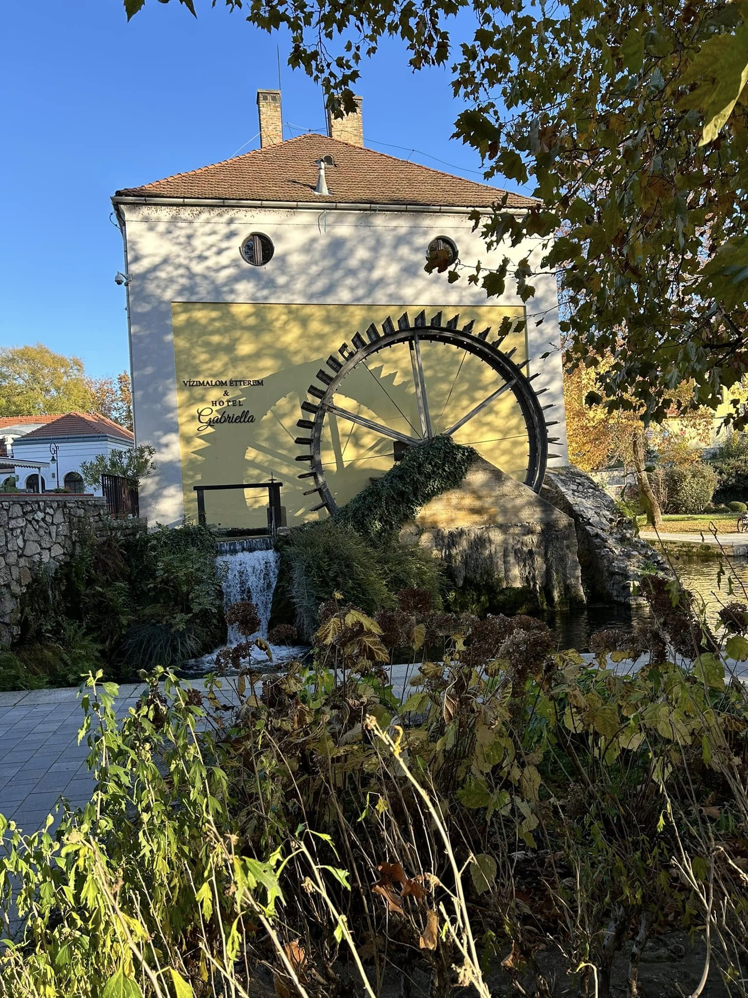 main-image