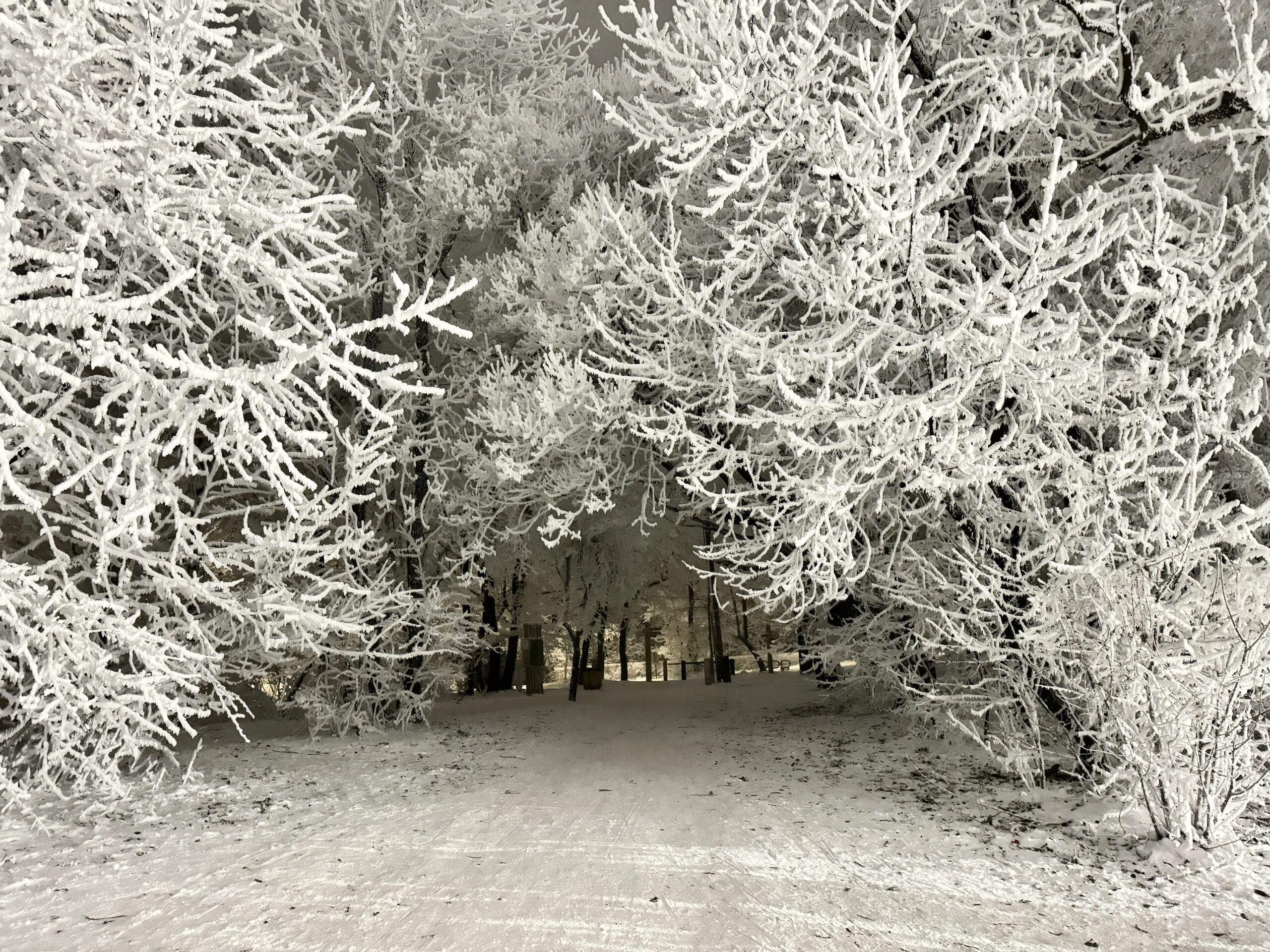 main-image