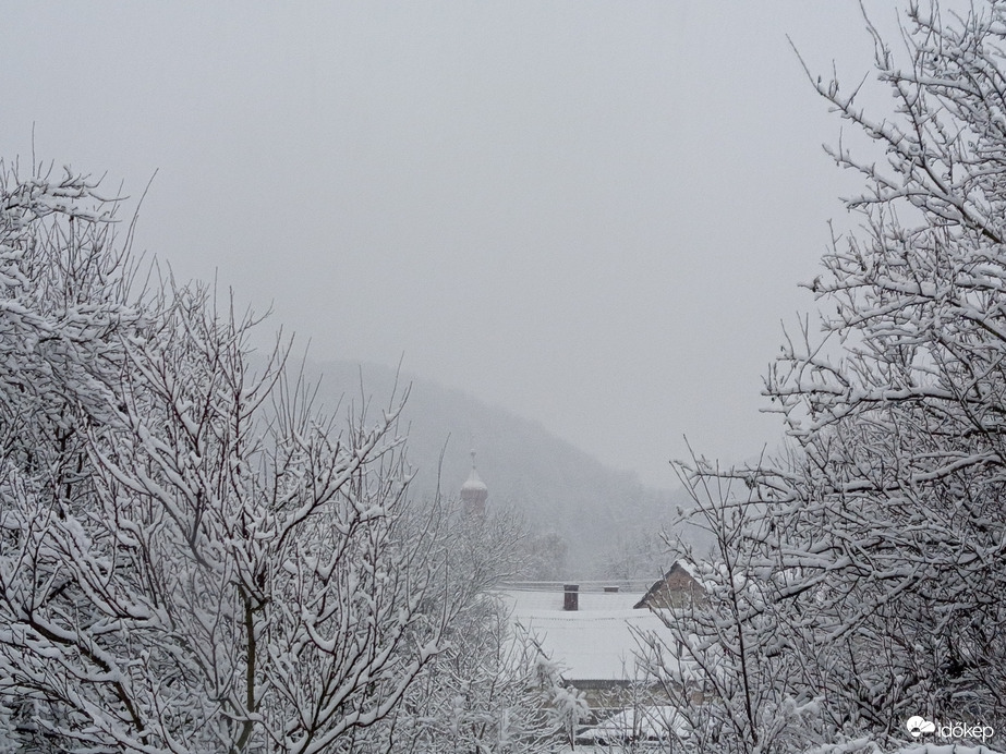 main-image