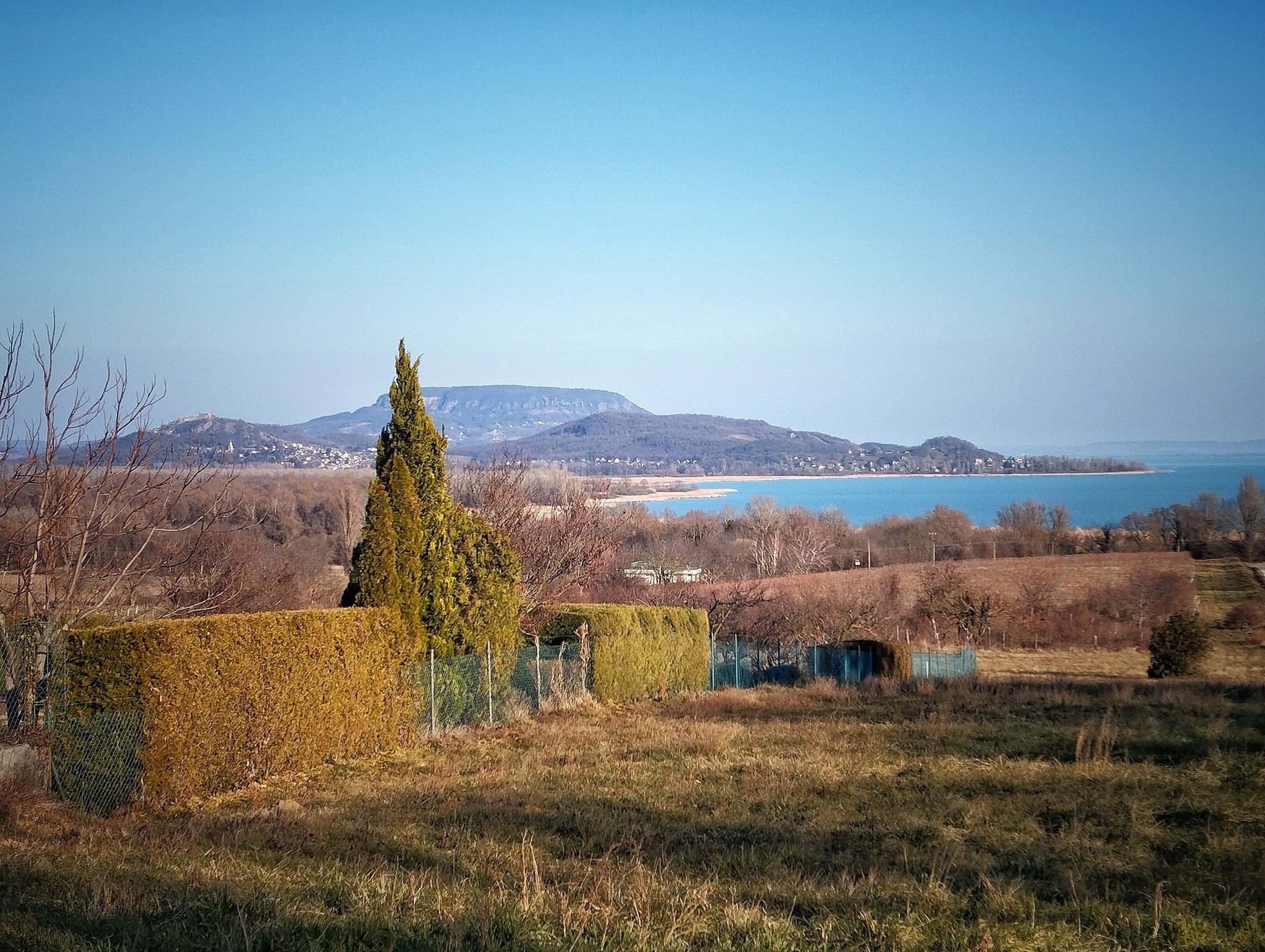 main-image