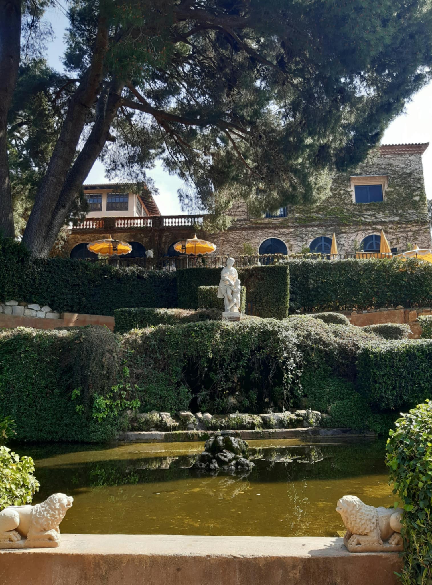 main-image
