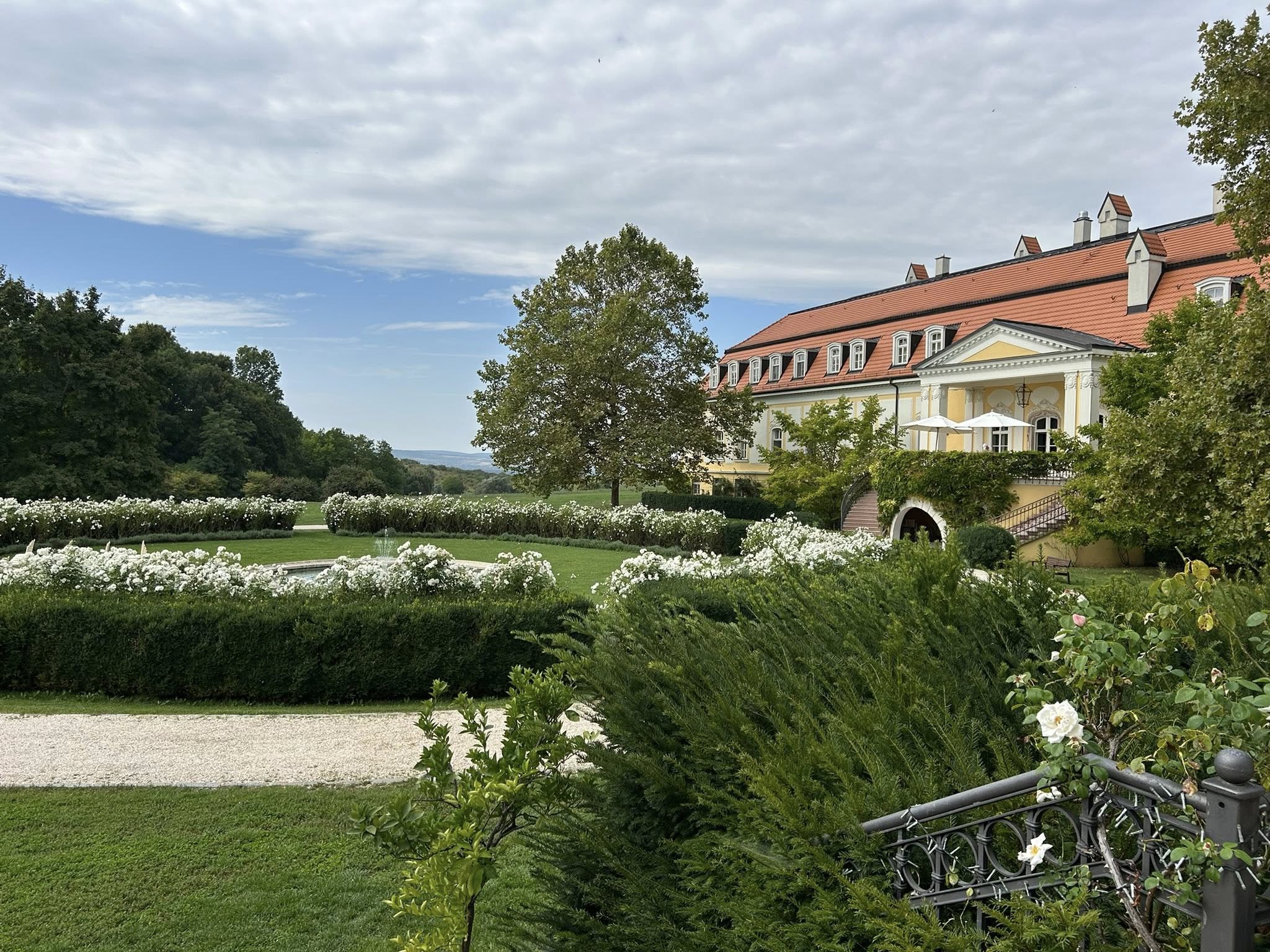 main-image