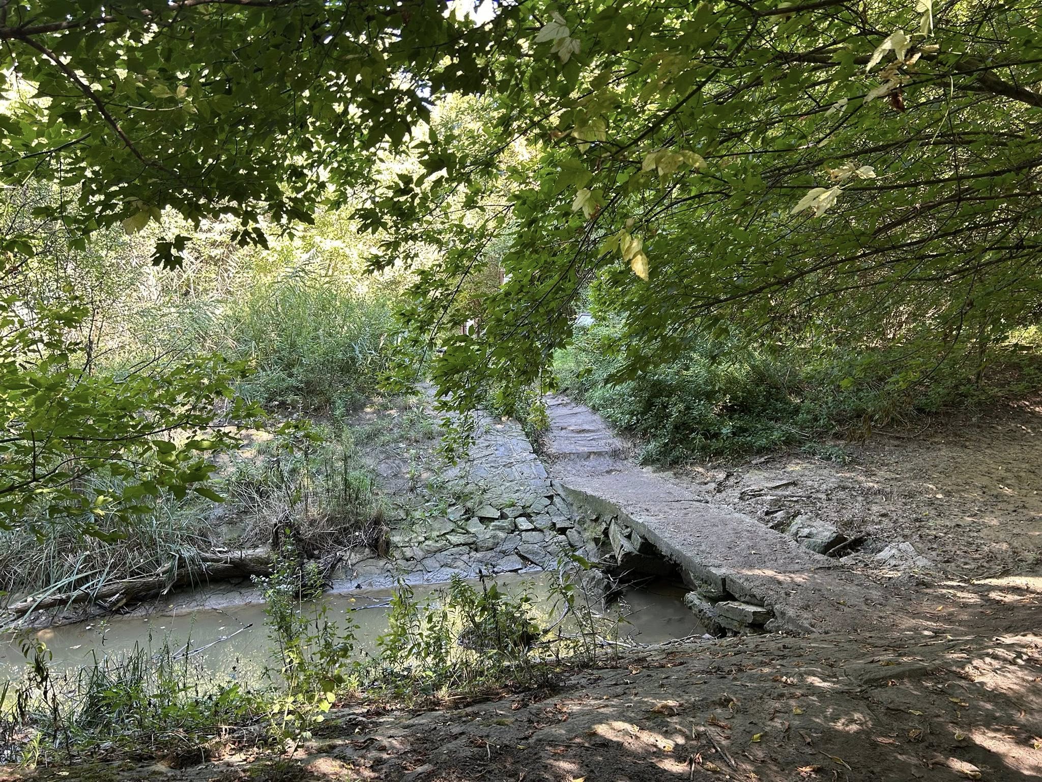 main-image