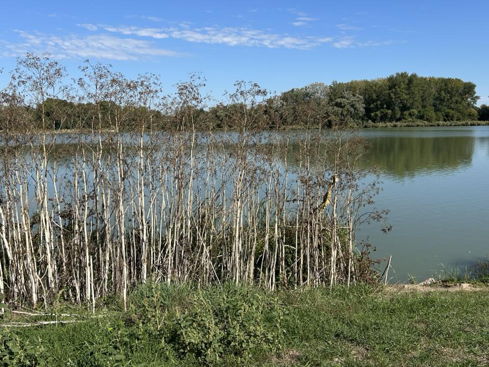 main-image