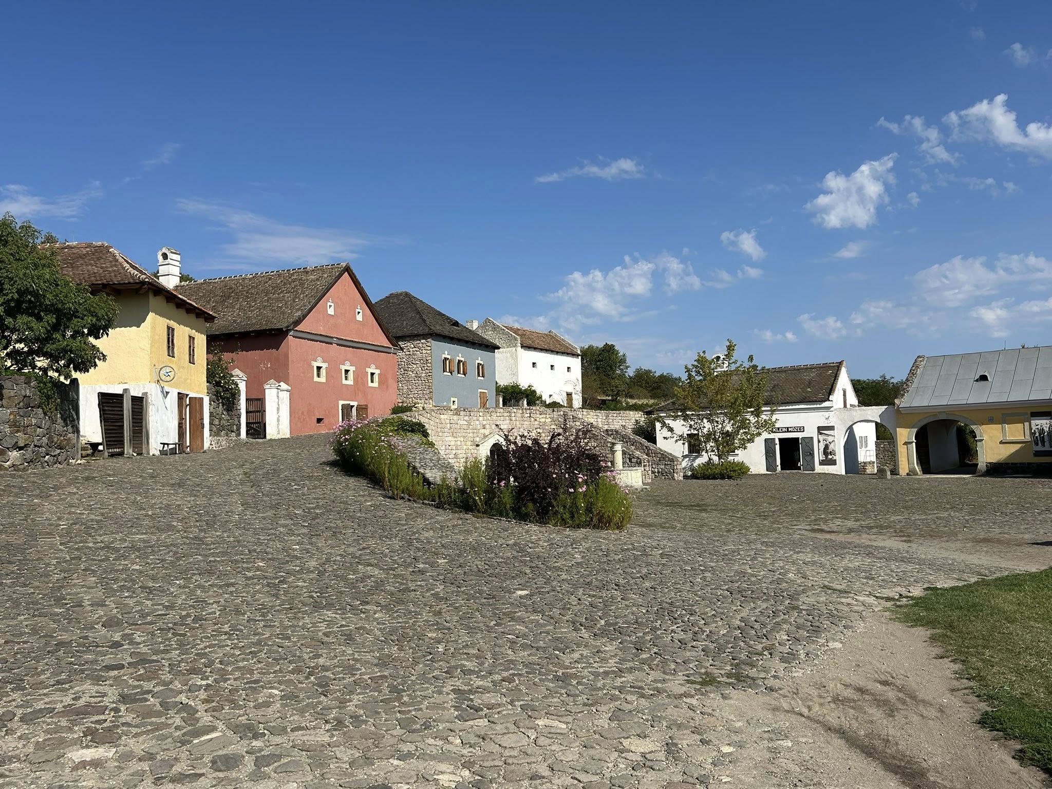 main-image