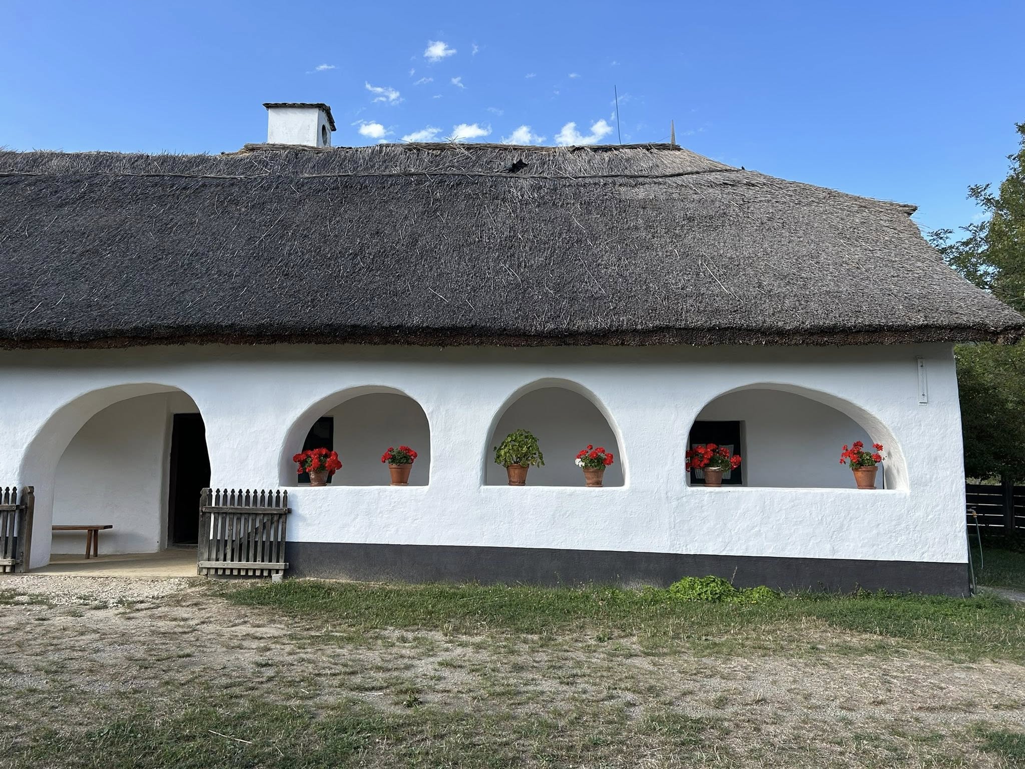 main-image
