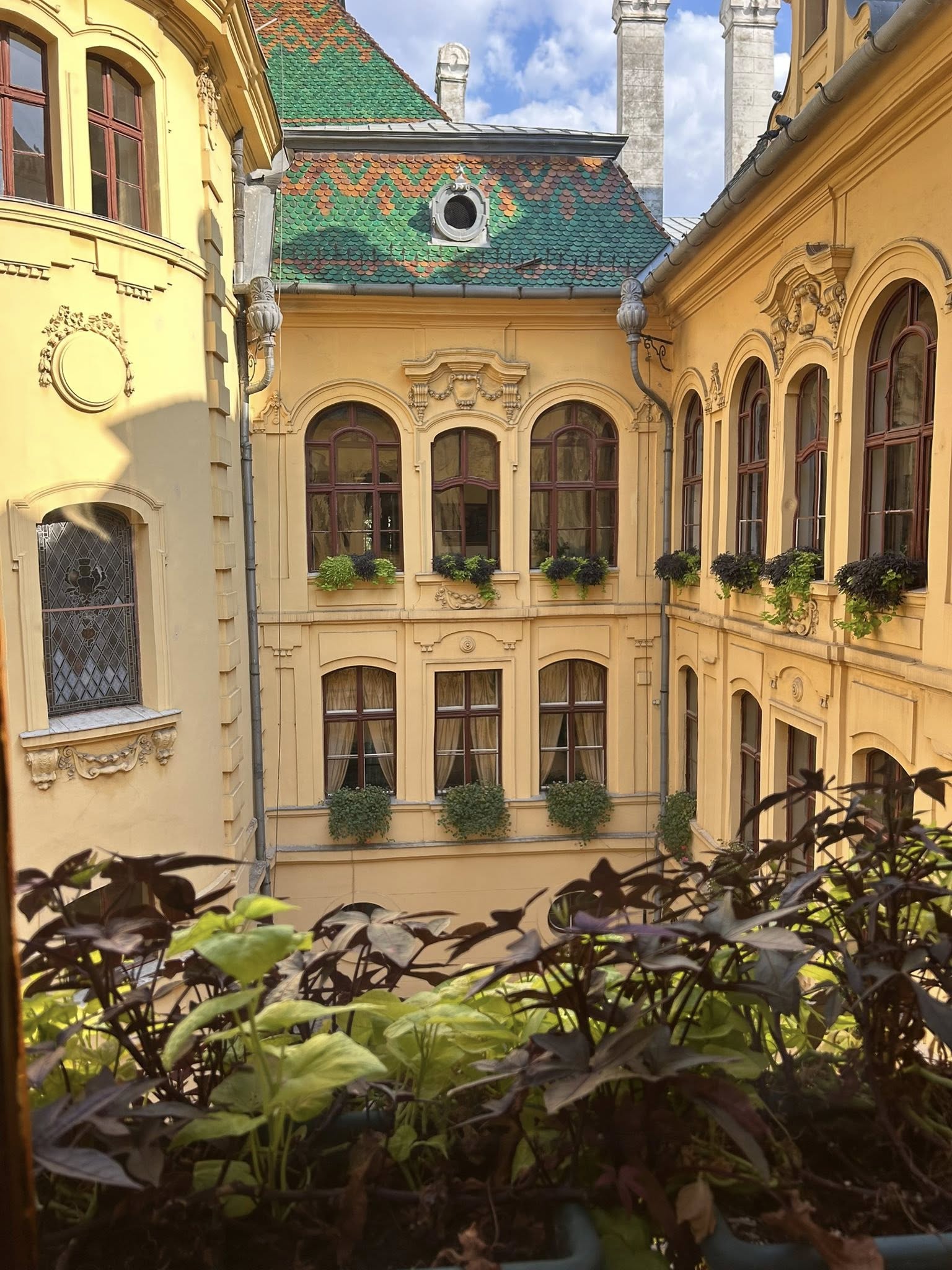 main-image