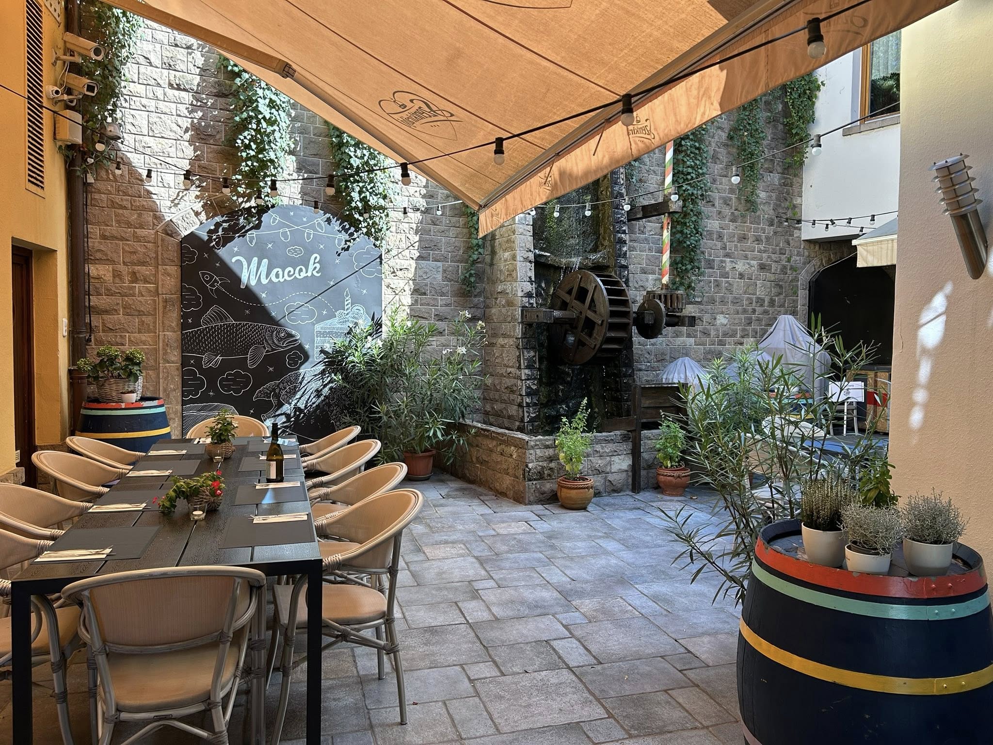 main-image
