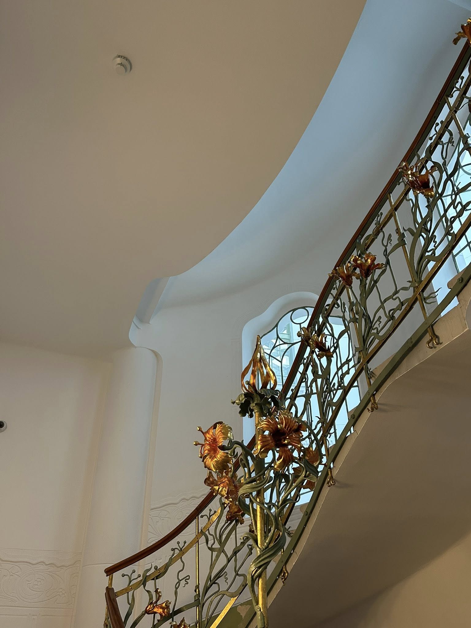 main-image