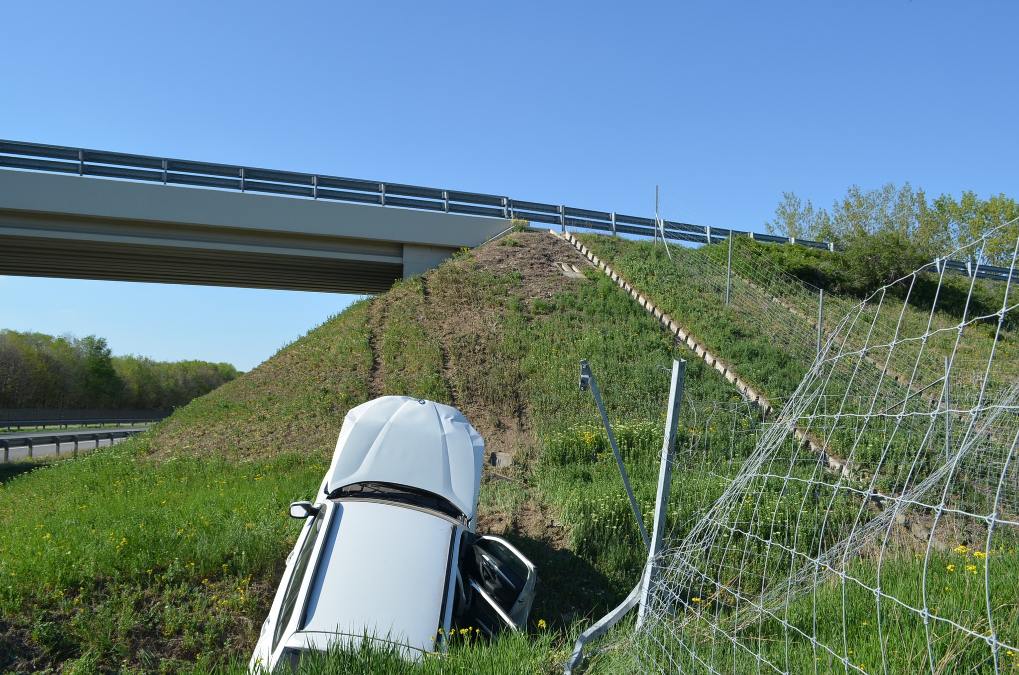 main-image